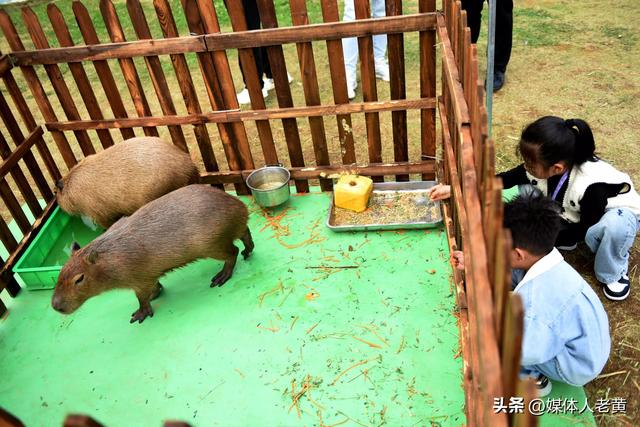 六盘水梅花山景区：20项主题活动打造8天文旅狂欢