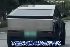 它现身国内！有人说帅，有人说丑图片