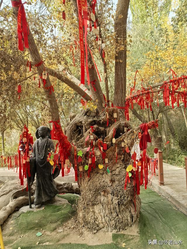 2025环南疆沙漠铁路背包自由行日记(4)——游览泽普金湖杨景区