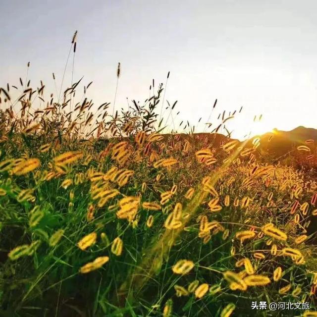 一路出色，打卡保定3条色彩秘境~