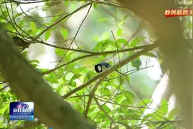 从“风景”到“场景” 宿迁持续推动“乐享园林”再升级图片
