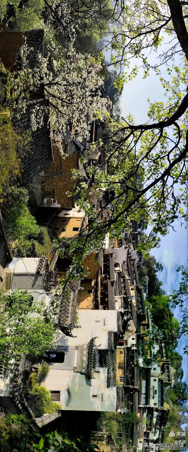 崖畔溪声里的野趣课堂：1 小时逃离城市，娄烦红崖子上村