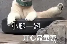 开心一刻｜东北人与福建人玩成语接龙，双方大呼离谱图片