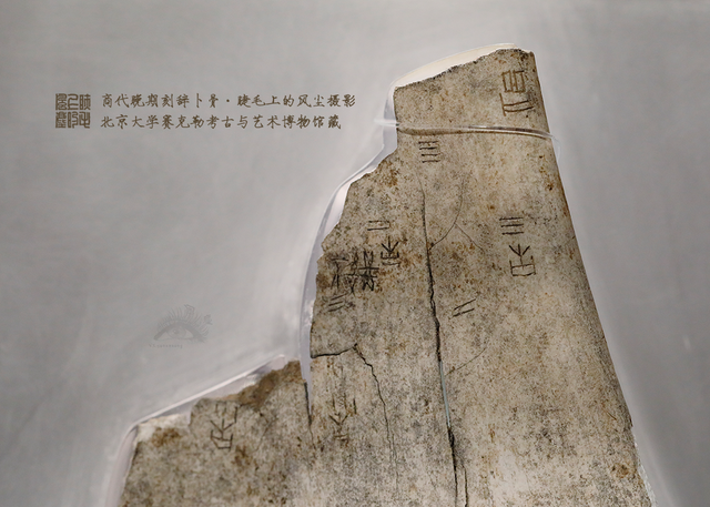 北京大学馆藏探秘：商代晚期刻辞卜骨	，解锁千年占卜密码