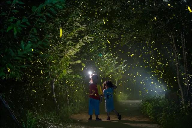 不远、不热还好玩！亲子出游安排上