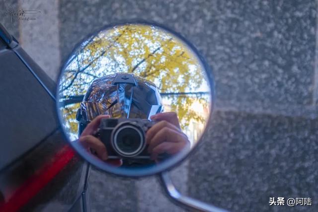 崇圣寺隔壁也有古银杏，就在三文笔村，长势更加风华正茂