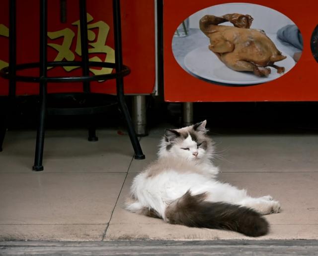 我是广东人，刚从山东青州回来，憋了7个疑问和感受不吐不快。