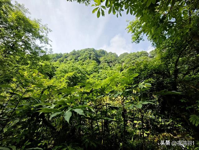 徒步瓦屋山,太艰难了,坚持下来不容易