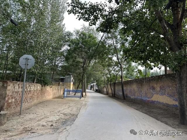 冠县乡韵·辛集镇崔刘八寨