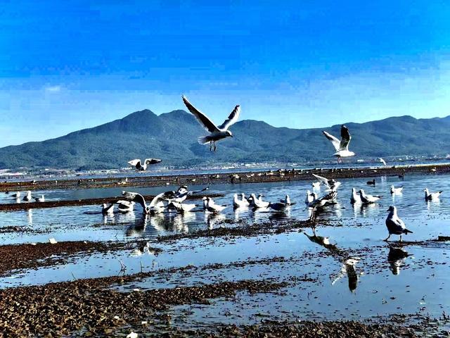 今日立冬！丽江七彩祥云“开场”，冬日还能怎么玩？