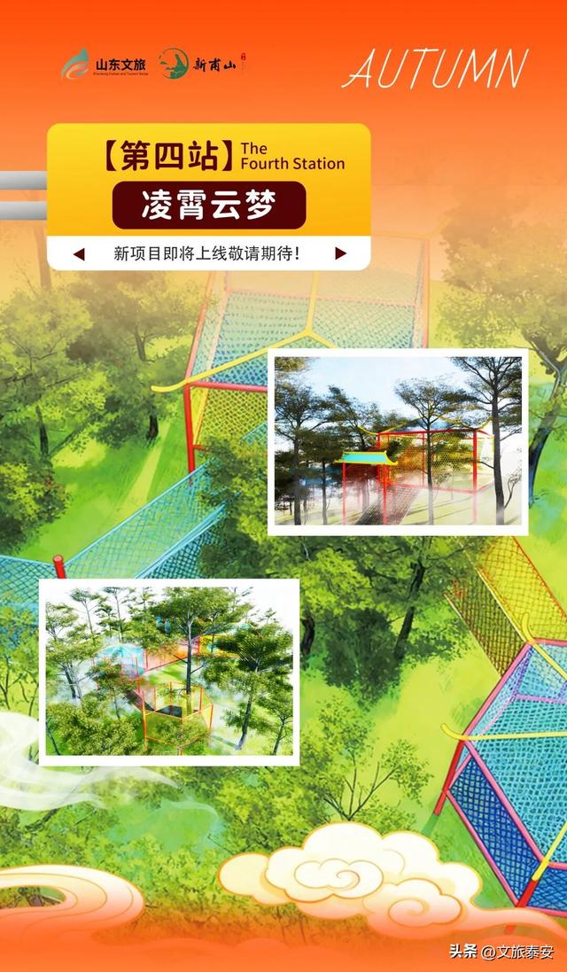 来赏银杏啦！还记得那年 “杏” 花微雨，你说要来新甫山~