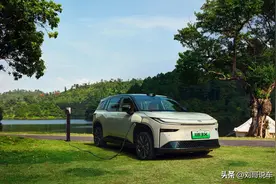 纯电车别乱买！3月最后一周销量，星愿丢冠，海鸥第5，铂智3X第28图片