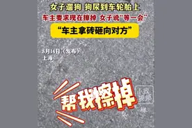 闹大了，女子遛狗尿车轮胎遭砖砸后续：警方介入，评论即两极分化图片