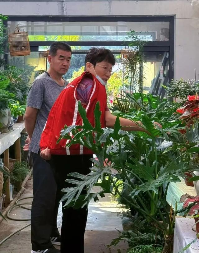 花花花！人人人！火火火！肥城这里简直不要太火爆了…