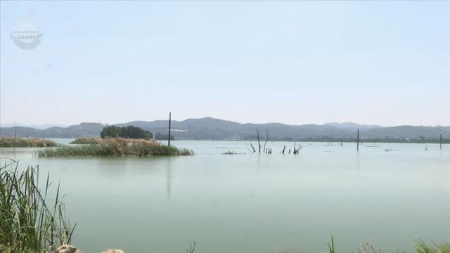 稻田摸鱼、品长街宴，想感受丰收的美好，来这儿就对了