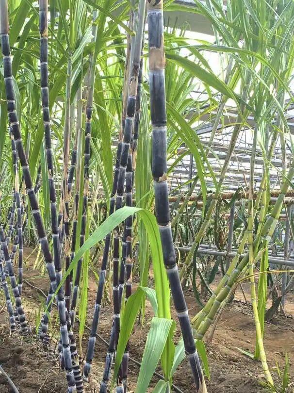 太全面了！8条游玩线路+京郊汤泉！带您玩转北京这里！（1）