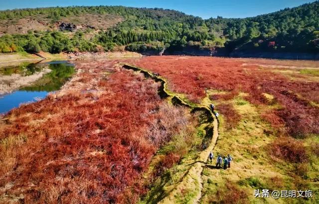 来一场短暂的城市逃离!盘龙这些登高好去处你知道吗?
