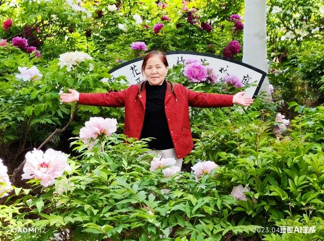 西安牡丹苑游记