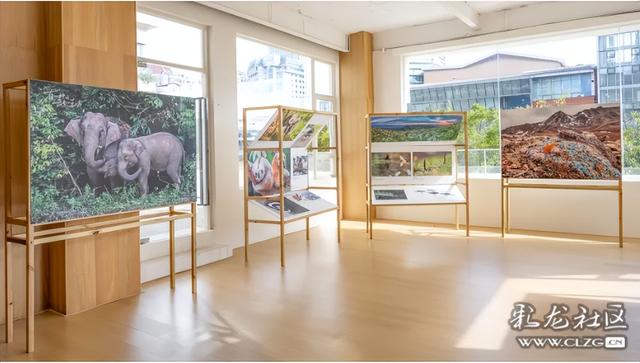 旅居云南·昆明好在（二十六）打卡百里·春秋——春城会客厅