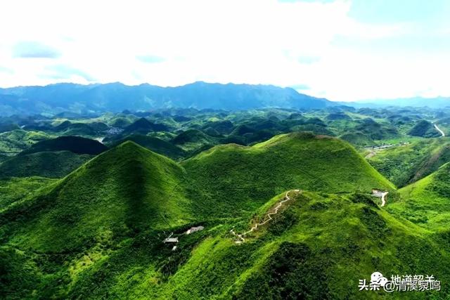 云岩青莲记