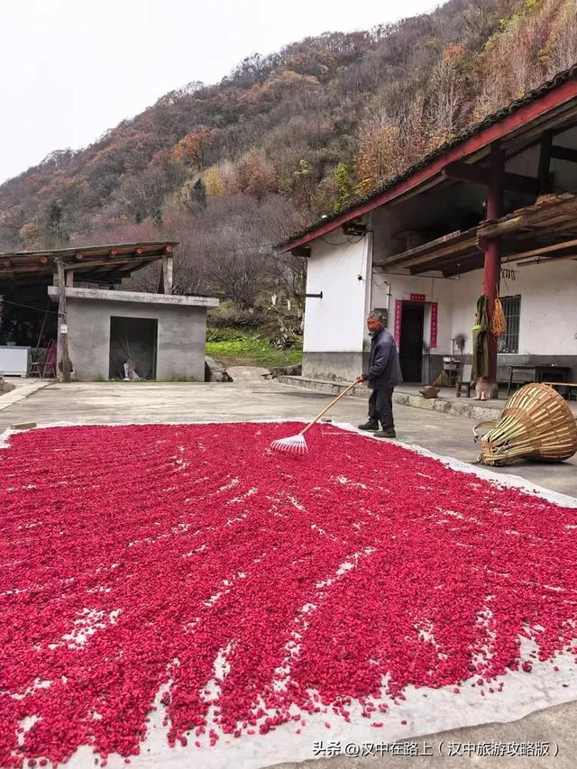 初冬游汉中岳坝，在自然里疗愈身心！