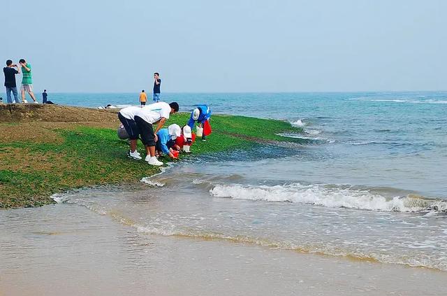 谈谈日照和连云港观海、洗海澡的不同点