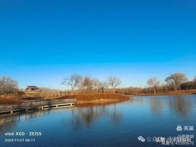 初冬北京玉河湿地公园游记|申艳娟