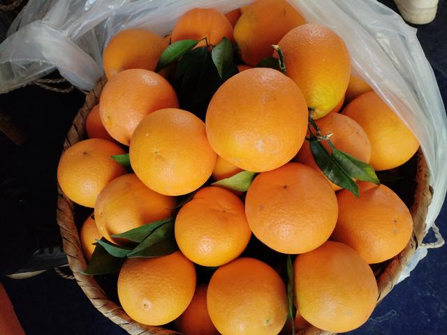 鄂渝行第三天：小红船.瞿塘峡.巫山.神女天路