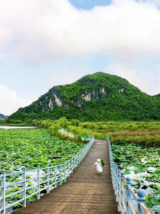反向旅游，避开人潮，国内最舒服的4个避暑天堂，奔赴20℃的清凉