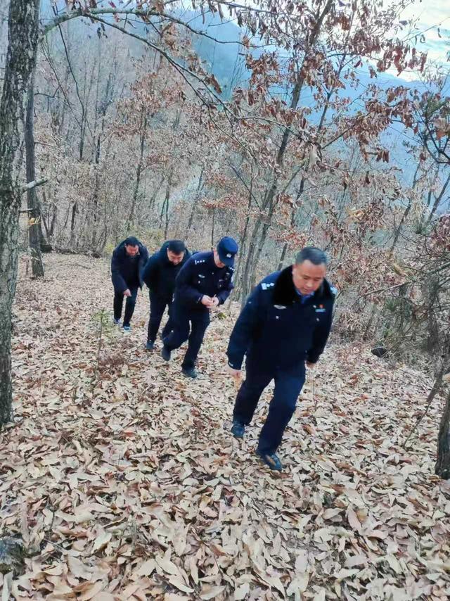 佛坪：人来鸟不惊 处处皆美景