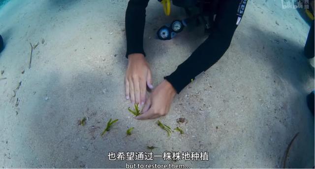 最高9.8分，零差评，这5部神作建议收藏