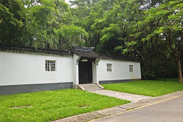 深圳最容易被忽略的高颜值公园,丛林秘境随处都是风景大片