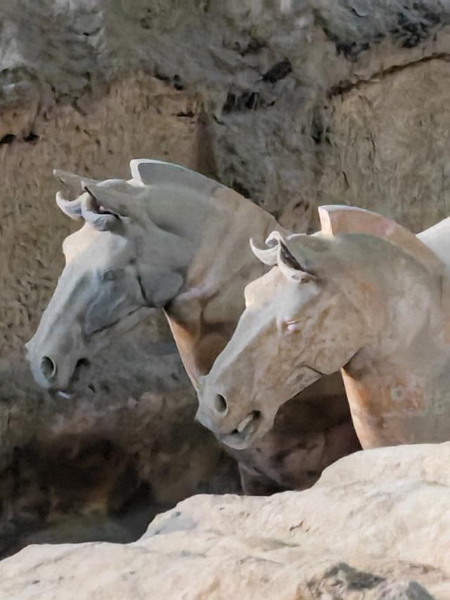 秦始皇兵马俑观后感悟