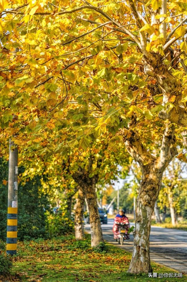 拥堵预警！这周末大家都去......