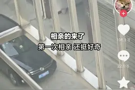 河南女大学生相亲4天就成功了！网友：我快递四天还在路上呢！图片