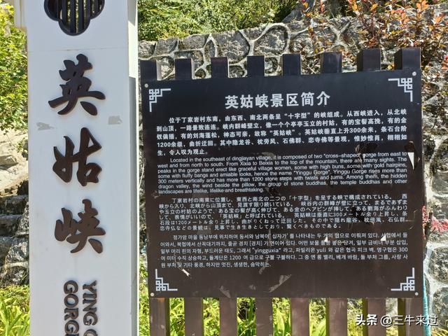 无为在歧路，2025之经行