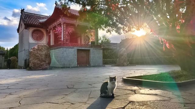 诸君，重阳来此登高赏景可好