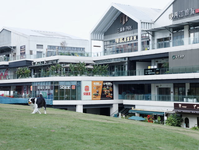 一组图解锁藏在江北嘴CBD的秋冬浪漫→