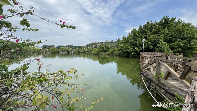 探秘福建农林大学苍山校区：不只是颜值爆表！