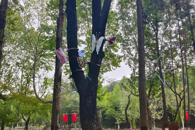 国庆这样玩！茵香河文化旅游区邀您“十一”畅享假期好时光