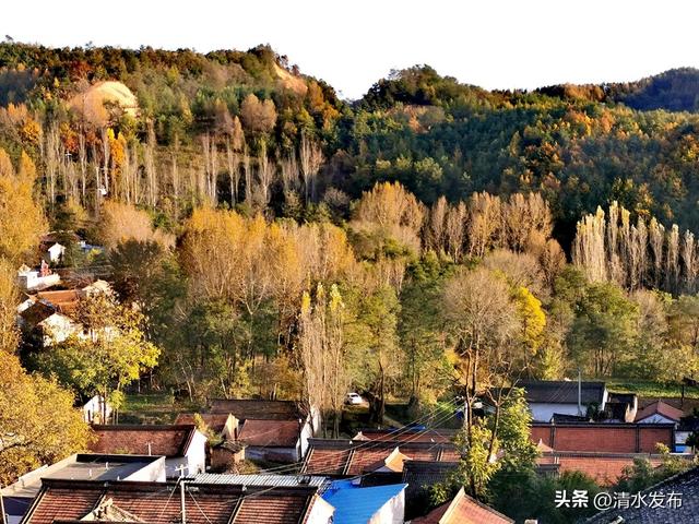 【醉美金秋 遇见清水】清水：一城秋色 满目斑斓