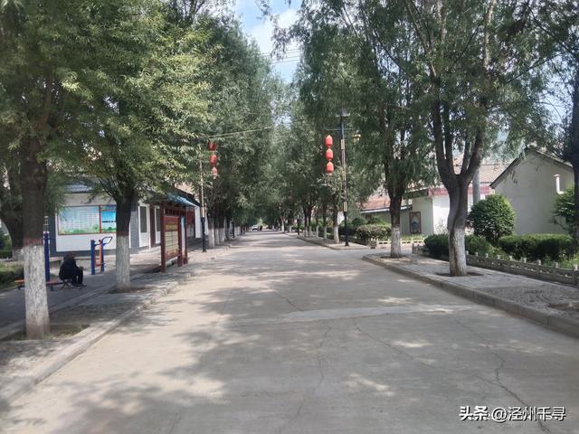 泾川县汭丰镇东王村：寻一处乡野，赴一场闲逸