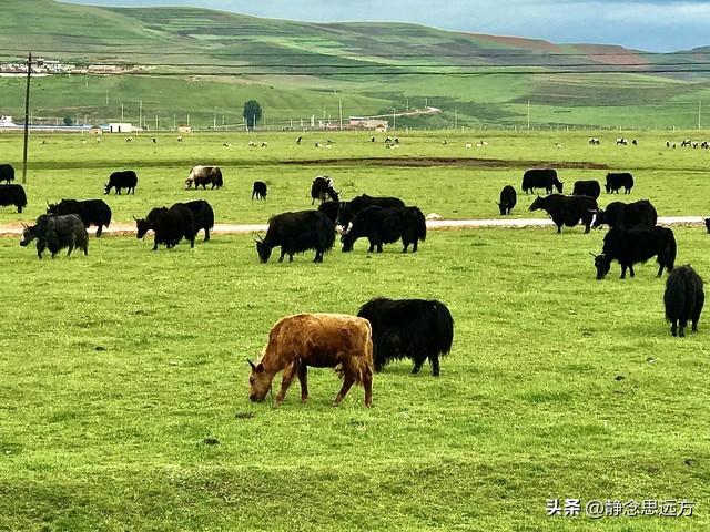 我河南人，去了趟甘肃陇南，实在是忍不住想说：对陇南的3点印象