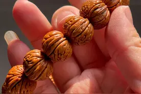 “一桃压百魅,一枭镇千邪”，正宗桃枭要满足8个条件，教你来辨别图片