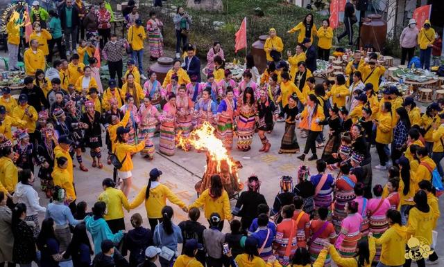 来一次古茶山之旅,去读懂贺开十五年的光阴故事