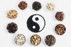 我的道医老师们（1）图片