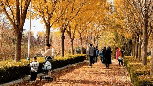 即刻出发！这个宝藏乐园迎来一年中最美时节！