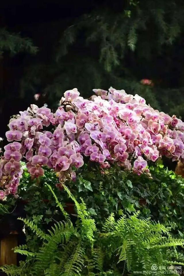 临沂人游临沂｜赶兰陵千年大集，赴一场烟火与诗意的约会