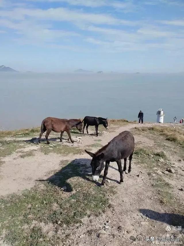 尽享无尽野趣！来浙里，开启一场跨越山与海的秘境徒步之旅！