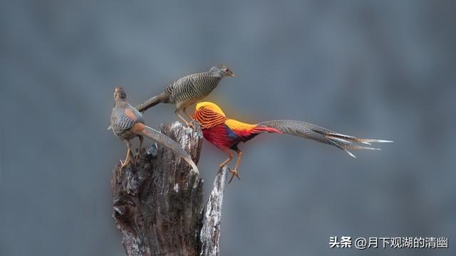 世界上只有中国河北省承德市才有的全球“独一无二的10大奇景”